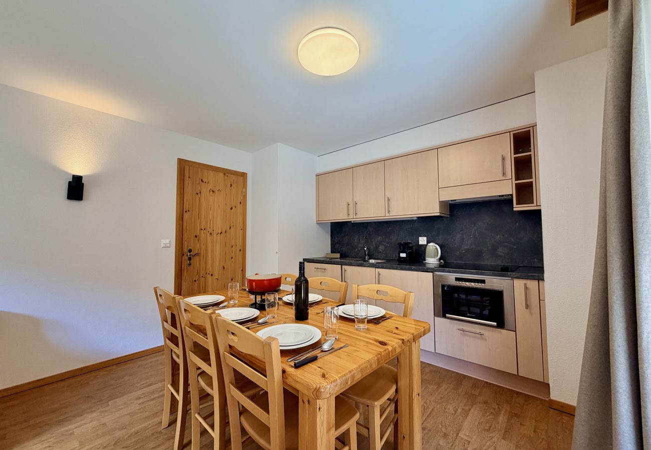 Appartement à Haute-Nendaz - Pracondu 1 307 - OUTDOOR & FUN  charming apartment
