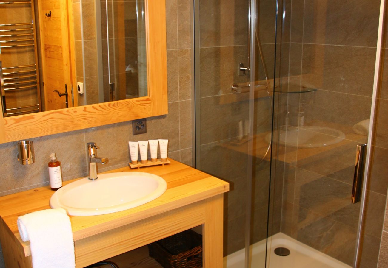Salle de douche Chalet Adele à Veysonnaz en Suisse