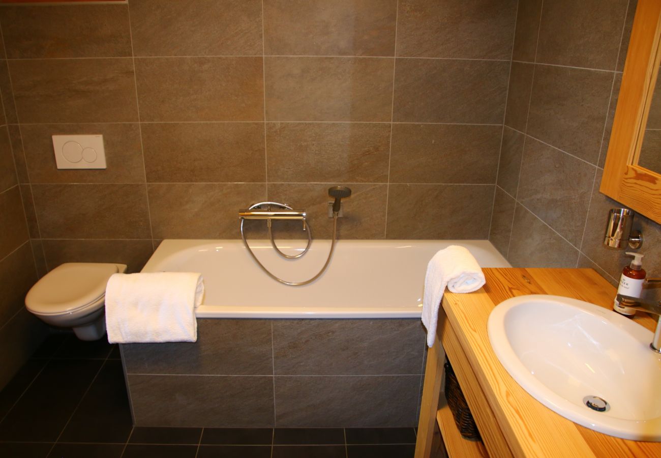 Salle de bain Chalet Adele à Veysonnaz en Suisse