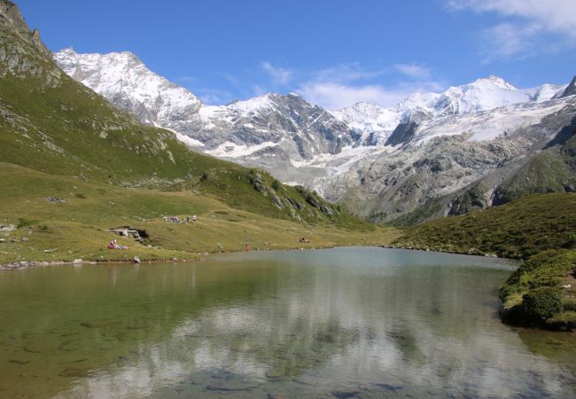 Appartement à Zinal - Polaris 1 004 - LUXE & SKI LIFT apartment 6 pers Appartement à Zinal - Polaris 1 004 - LUXE & SKI LIFT apartment 6 pers