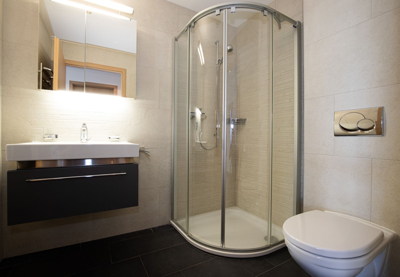 Salle de bain Appartement SP 011 à Veysonnaz, en Suisse