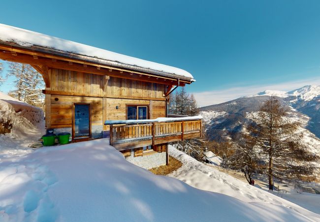 Chalet à Vex - Ecureuil noir COSY & QUIET chalet 10 personnes Chalet à Vex - Ecureuil noir COSY & QUIET chalet 10 personnes