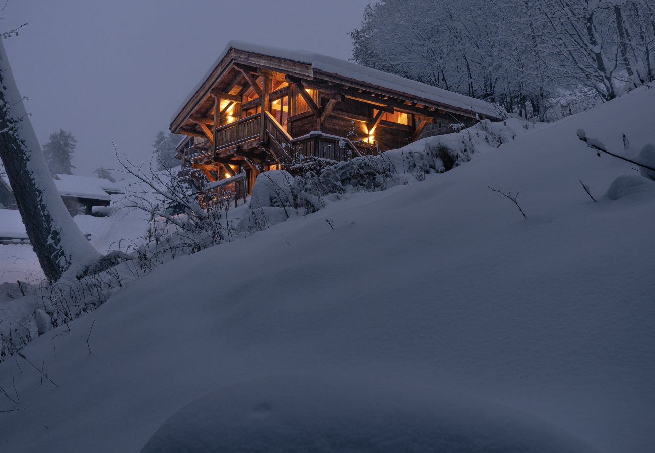 Chalet à Les Masses - Base Camp COSY chalet 4 personnes