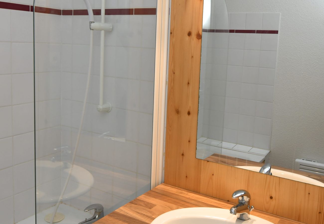 Apartment in Chamrousse - Chartreuse 1 036-FAMILLE & MONTAGNE appart. 6 pers