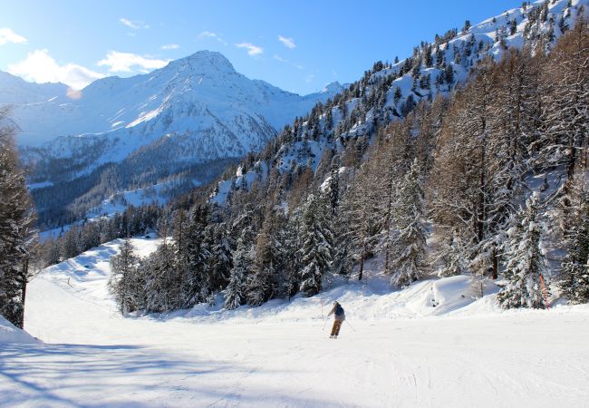 Chalet in Haute-Nendaz - Appaloosa - FABULOUS & LUXE chalet 12 pers