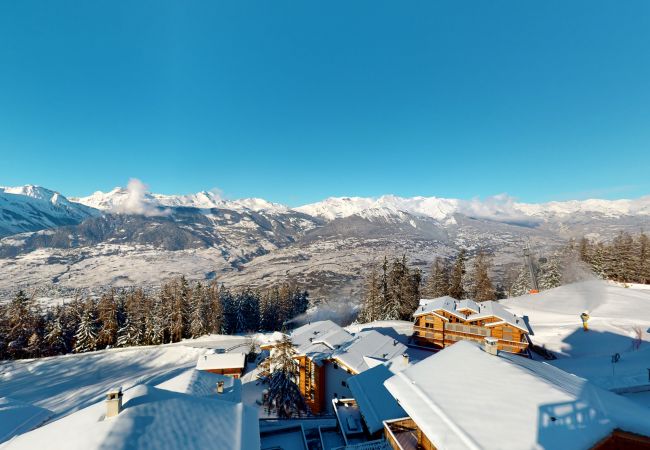 Chalet in Veysonnaz - Egg SAUNA & LUXURY chalet 16 pers Chalet in Veysonnaz - Egg SAUNA & LUXURY chalet 16 pers