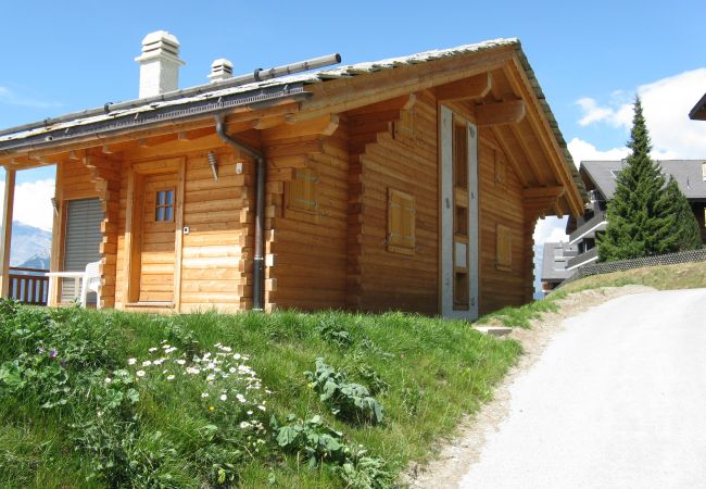 Chalet in Veysonnaz - Christoph STANDING & CALM chalet 10 pers Chalet in Veysonnaz - Christoph STANDING & CALM chalet 10 pers