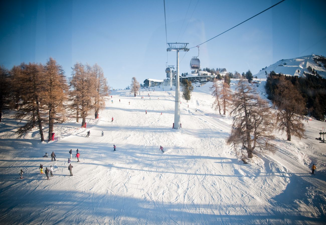 Chalet in Les Masses - La Trinité MOUNTAIN & GARDEN chalet 10 pers