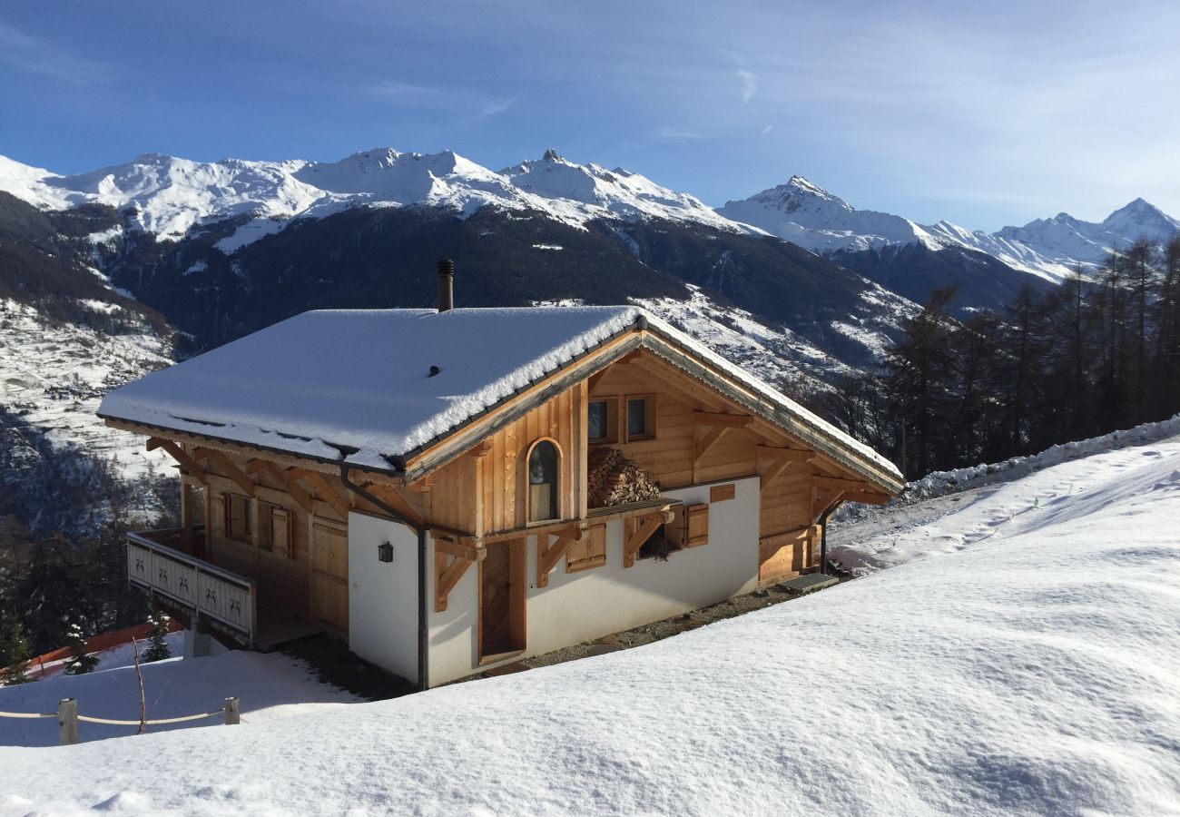Chalet in Les Masses - La Trinité MOUNTAIN & GARDEN chalet 10 pers