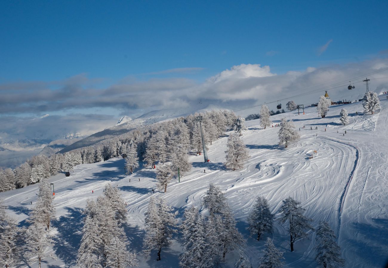 Chalet in Les Masses - La Trinité MOUNTAIN & GARDEN chalet 10 pers