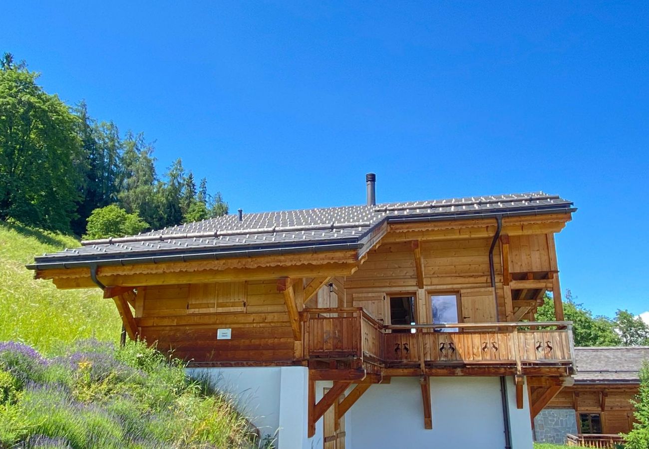 Chalet in Les Masses - La Trinité MOUNTAIN & GARDEN chalet 10 pers