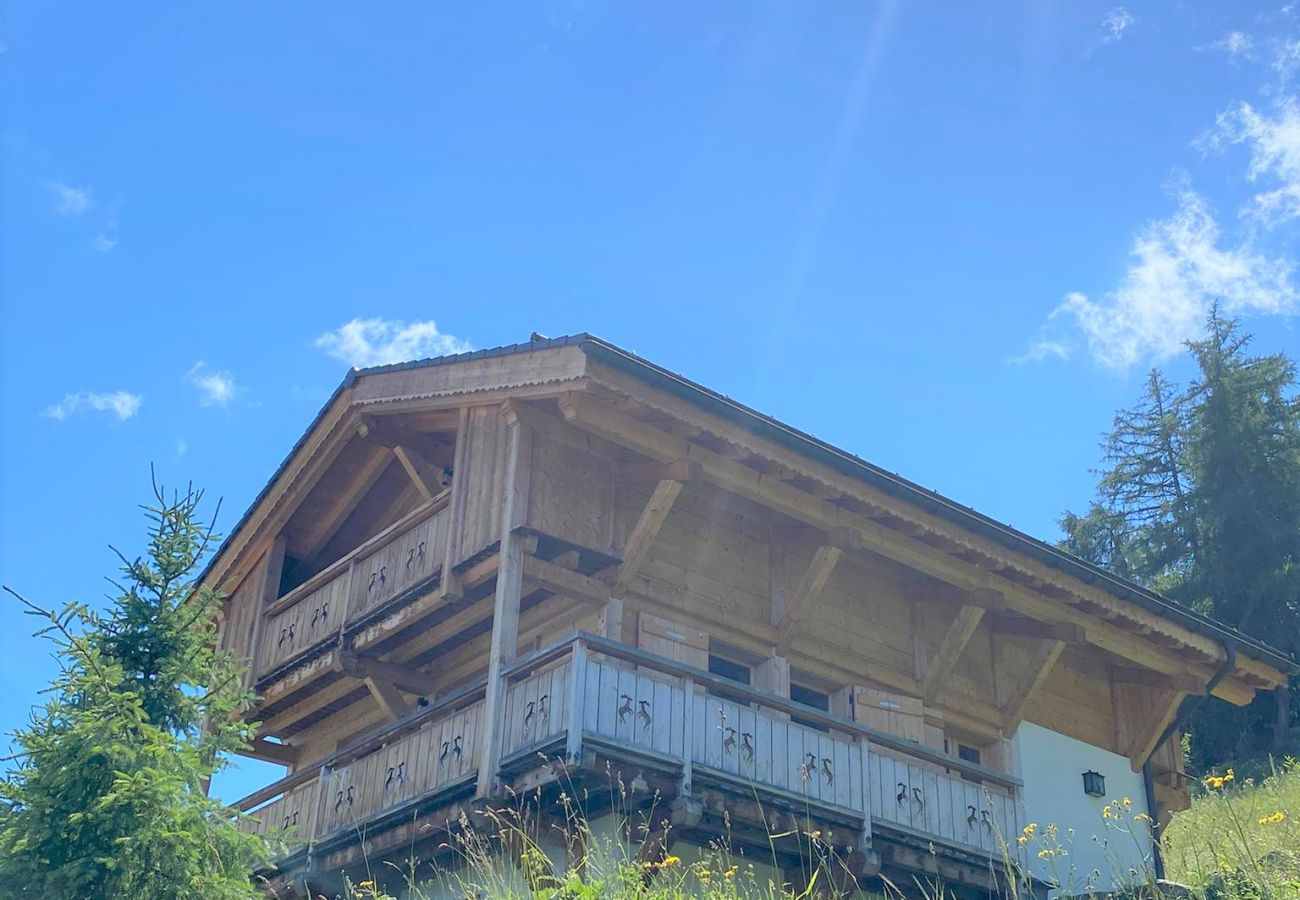 Chalet in Les Masses - La Trinité MOUNTAIN & GARDEN chalet 10 pers