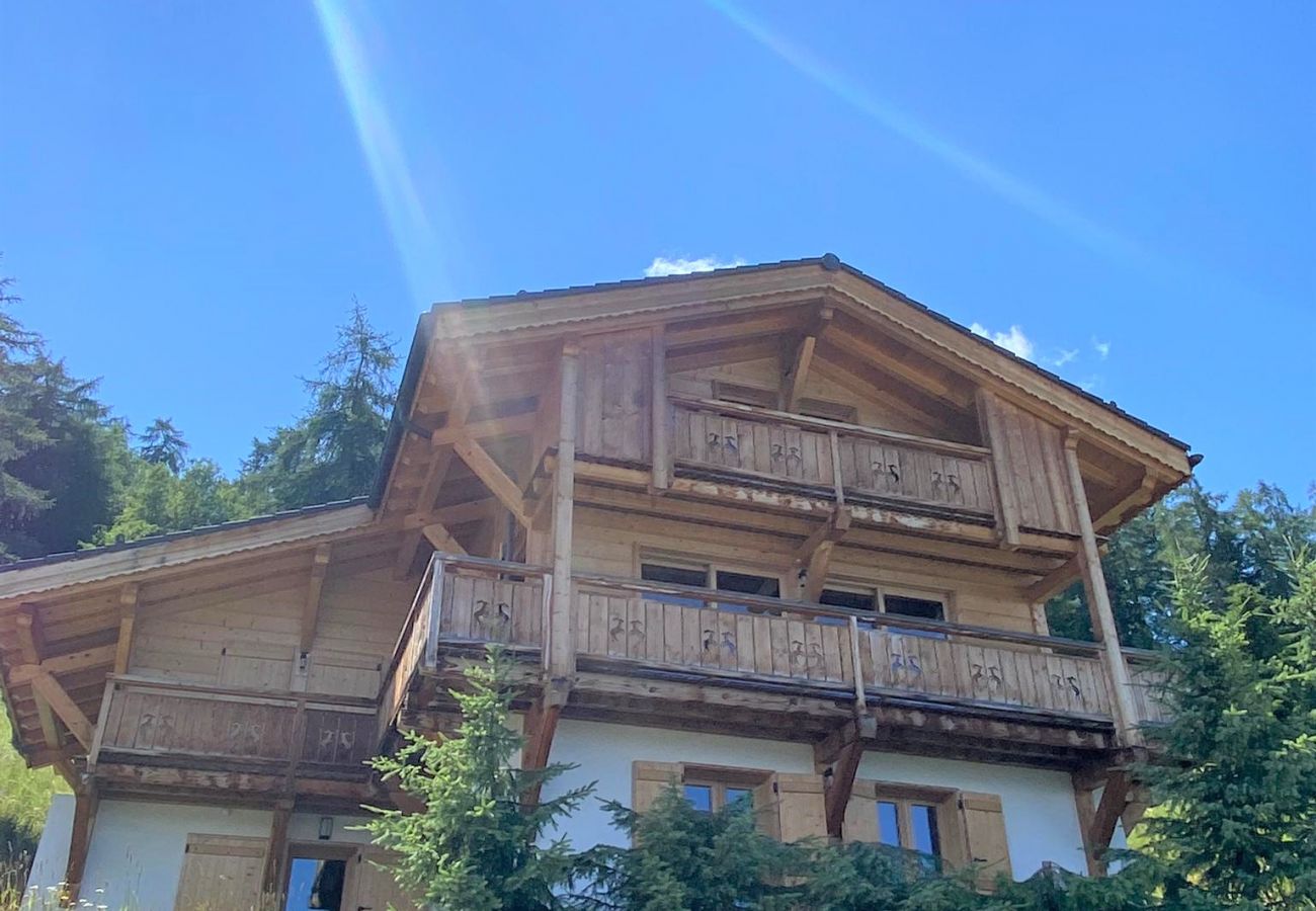 Chalet in Les Masses - La Trinité MOUNTAIN & GARDEN chalet 10 pers