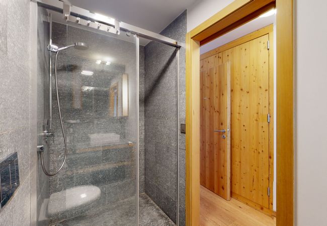Chalet in Hérémence - Etoiles des Neiges LUXE & JACUZZI chalet 12 pers Chalet in Hérémence - Etoiles des Neiges LUXE & JACUZZI chalet 12 pers