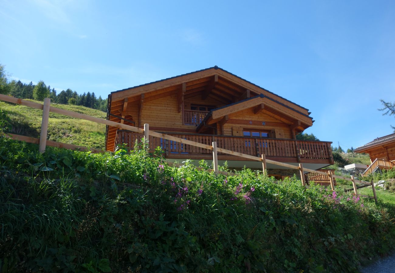 Chalet in Les Masses - Croix Noires FABULOUS & LUXURY chalet 11 pers