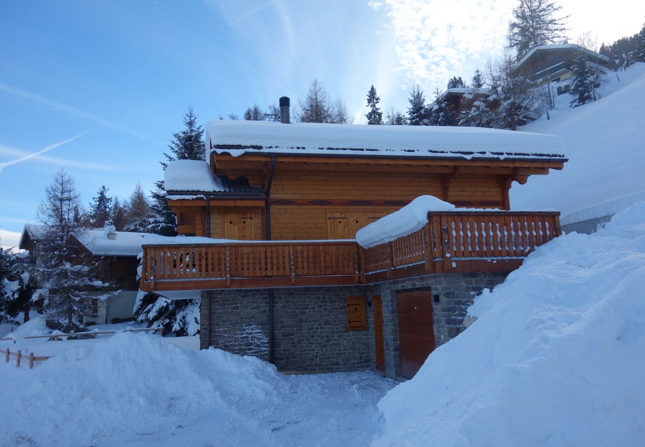 Chalet in Les Masses - Croix Noires FABULOUS & LUXURY chalet 11 pers