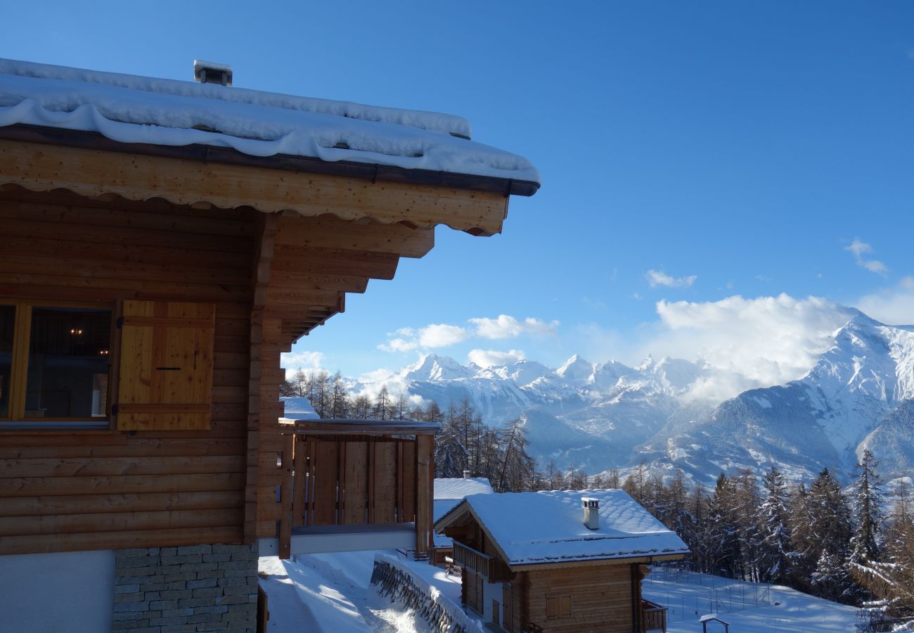 Chalet in Veysonnaz - Hirondelle JACUZZI & LUXURY chalet 12 pers