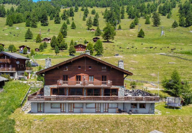 Apartment in Haute-Nendaz - Des Alpes (001) - ON THE SLOPES apartment 6 pers Apartment in Haute-Nendaz - Des Alpes (001) - ON THE SLOPES apartment 6 pers