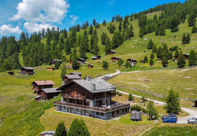 Apartment in Haute-Nendaz - Des Alpes (001) - ON THE SLOPES apartment 6 pers Apartment in Haute-Nendaz - Des Alpes (001) - ON THE SLOPES apartment 6 pers