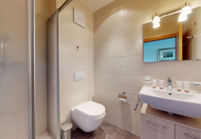 Shower room, Hauts de Veysonnaz HV1 011 at Veysonnaz in Switzerland