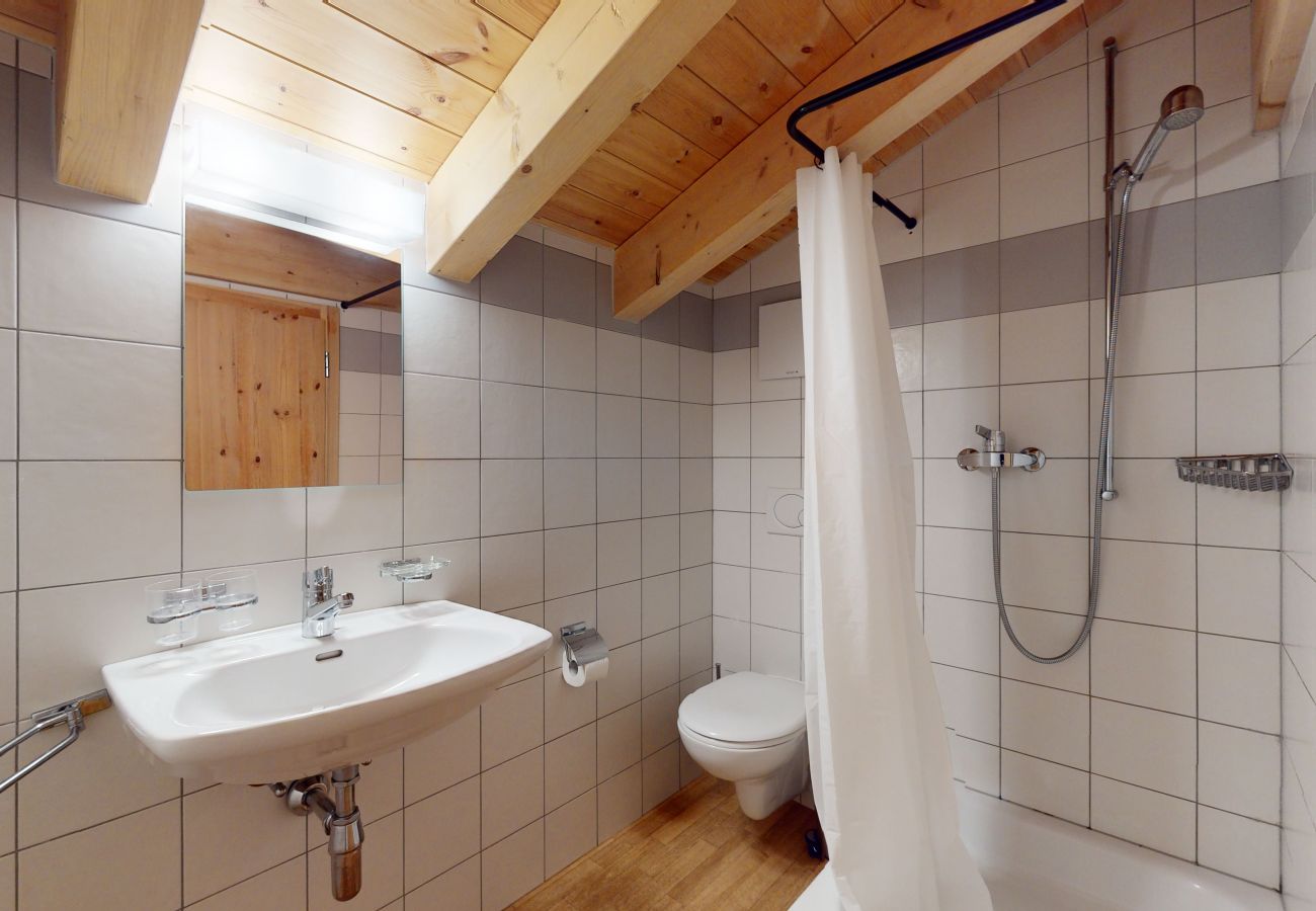 Apartment in Haute-Nendaz - Pracondu 2 501 - OUTDOOR & FUN  apartment 14 pers