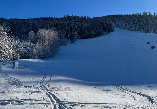 Apartment in Les Agettes - Mayens de l'Ours CZ 030 - MOUNTAIN apartment 6 per Apartment in Les Agettes - Mayens de l'Ours CZ 030 - MOUNTAIN apartment 6 per