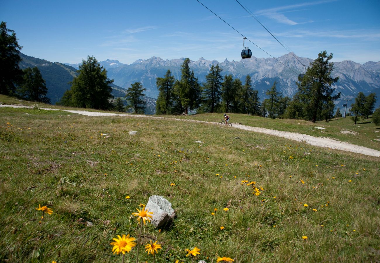 Chalet in Veysonnaz - Dorril SUNNY & QUIET chalet 10 pers