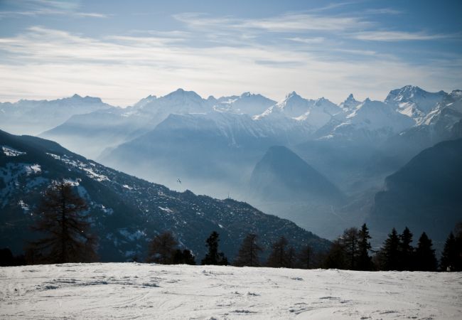 Chalet in Veysonnaz - Eanta SUNNY & MOUNTAIN chalet 10 pers Chalet in Veysonnaz - Eanta SUNNY & MOUNTAIN chalet 10 pers
