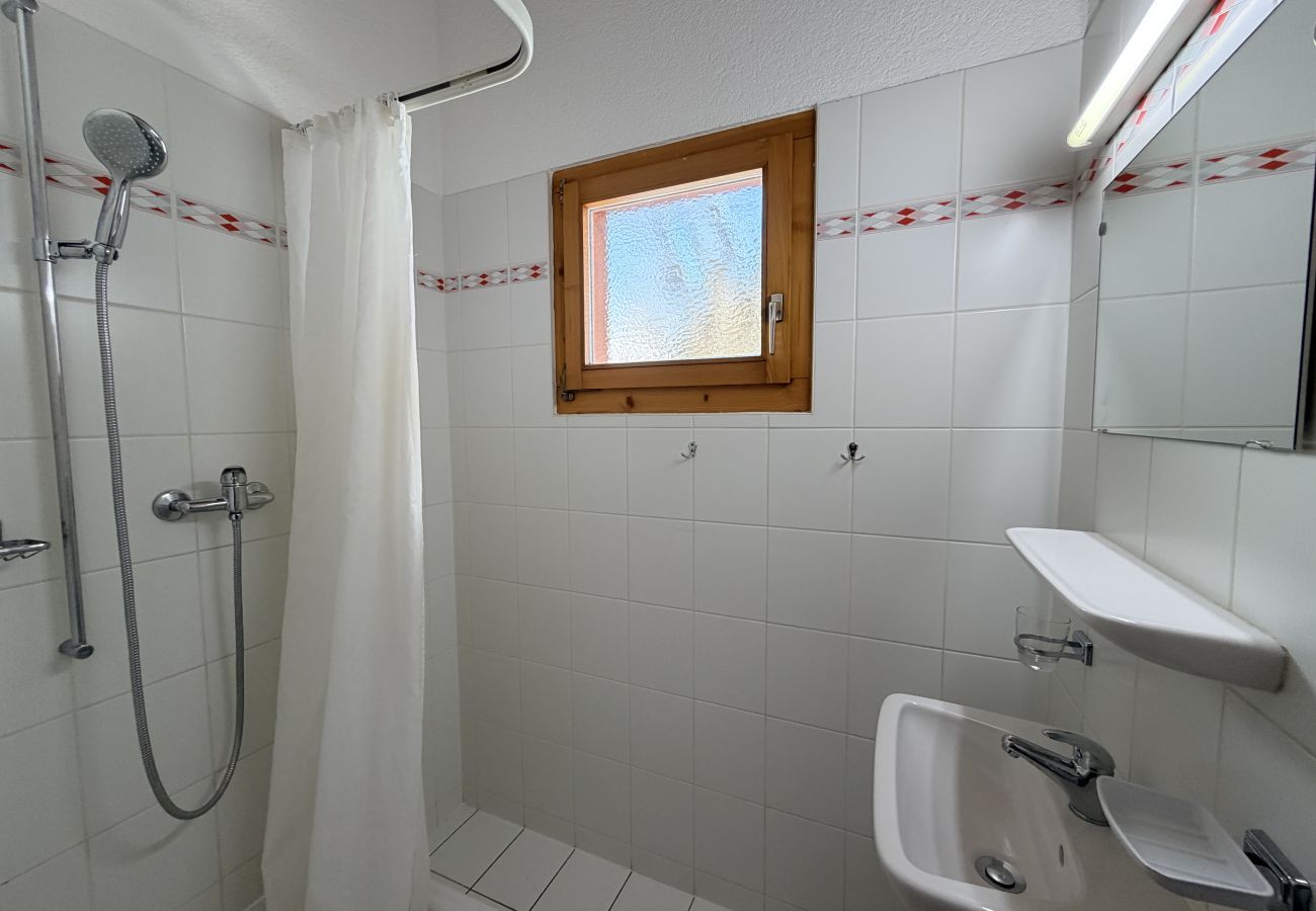 Chalet in Salins - Fontannets 001 COSY & MOUNTAIN chalet 10 pers