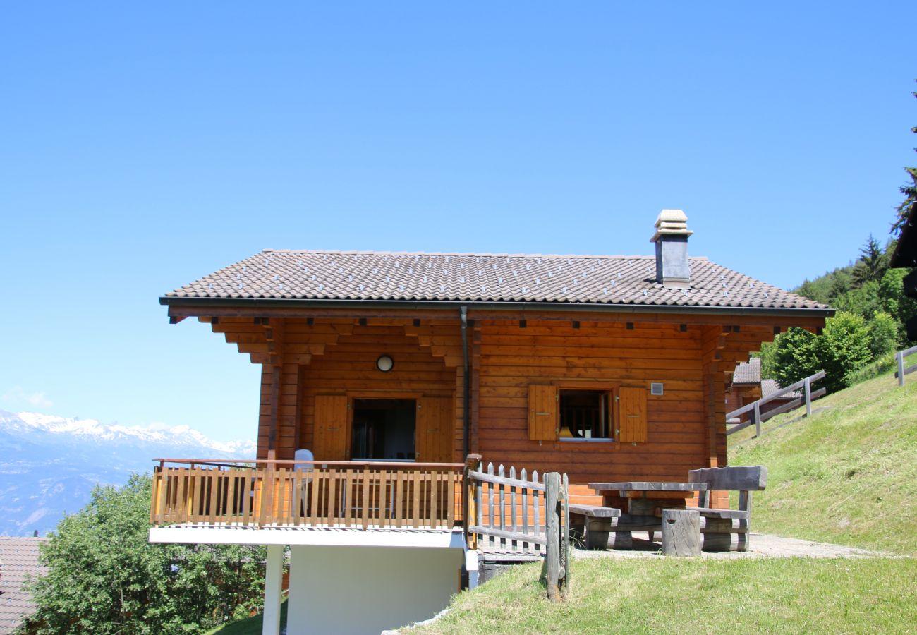 Chalet in Salins - Fontannets 006 QUIET & SUPERIOR chalet 10 pers