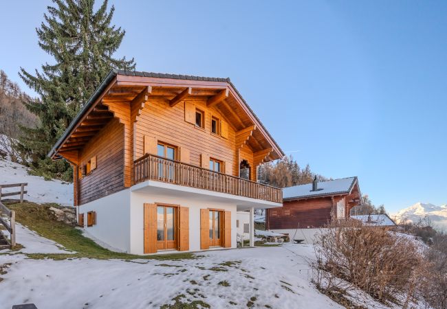 Chalet in Salins - Fontannets 008 QUIET & SUPERIOR chalet 10 pers Chalet in Salins - Fontannets 008 QUIET & SUPERIOR chalet 10 pers