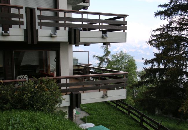 Apartment in Veysonnaz - Orée du Bois OB A1 - PLEASANT apartment 6 pers Apartment in Veysonnaz - Orée du Bois OB A1 - PLEASANT apartment 6 pers