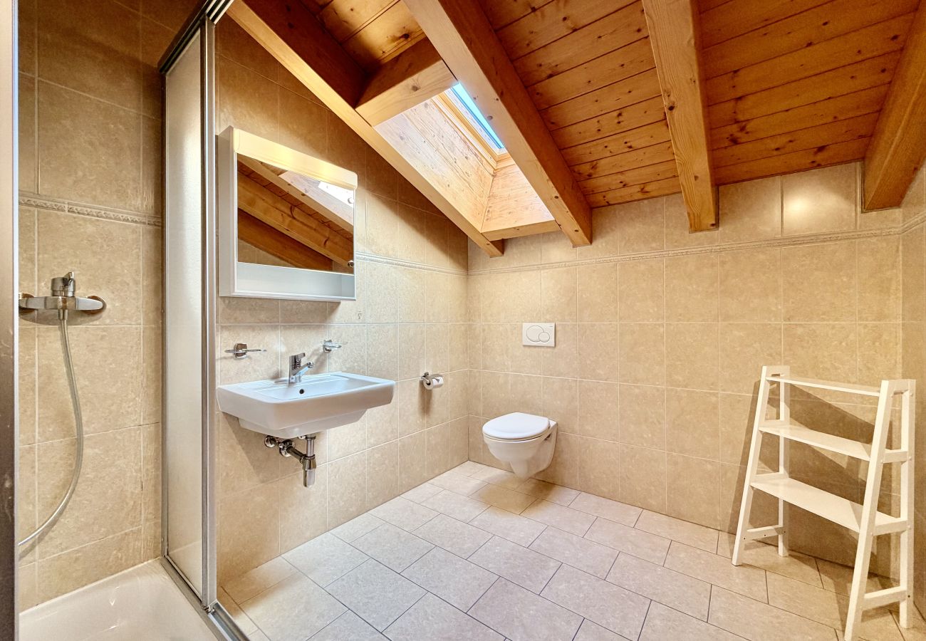 Shower room Chalet Tschoueilles 009 in Veysonnaz, Switzerland
