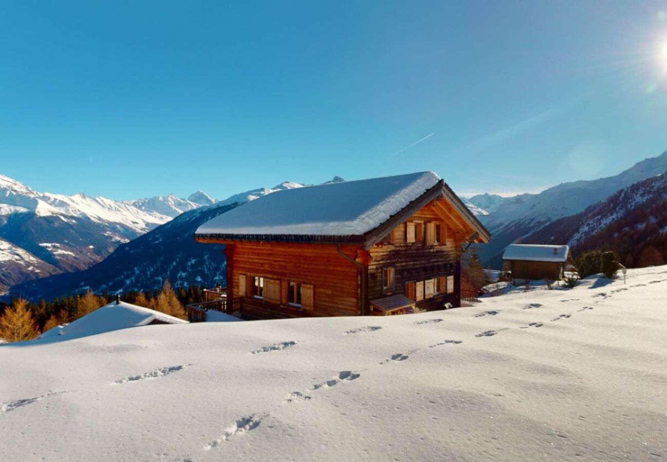 Chalet in Thyon-Les Collons - Narnia SKI IN & SKI OUT chalet 14 pers