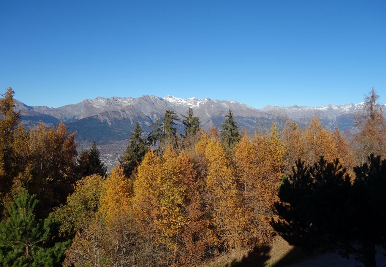 Apartment in Les Agettes - Mayens de l'Ours AZ 011 - MOUNTAIN apartment 6 p