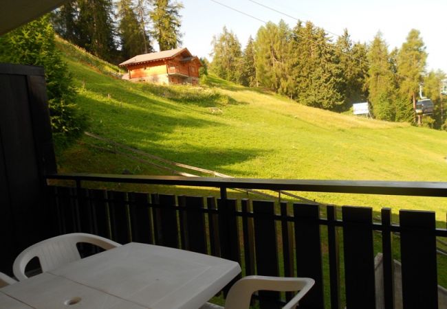 Studio in Veysonnaz - Magrappé M 544 - SKI LIFT studio 4 pers Studio in Veysonnaz - Magrappé M 544 - SKI LIFT studio 4 pers