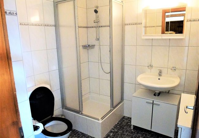 Bathroom Apartment Magrappé M 544, in Veysonnaz, Switzerland