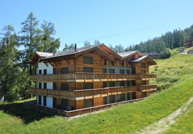 Apartment in Veysonnaz - Les Mayens MA 021 -  LUXURY apartment 18 pers Apartment in Veysonnaz - Les Mayens MA 021 -  LUXURY apartment 18 pers