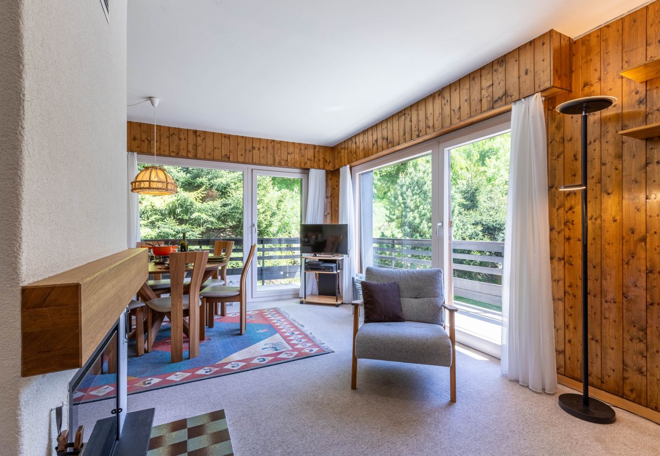 Apartment in Veysonnaz - Combyre C 035 - COMFORTABLE apartment 6 pers