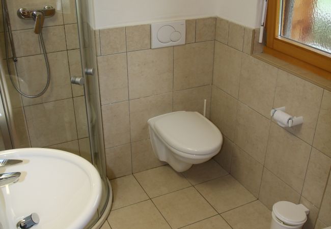 Apartment in Veysonnaz - Plein Ciel VB 033 - MOUNTAIN apartment 8 pers Apartment in Veysonnaz - Plein Ciel VB 033 - MOUNTAIN apartment 8 pers