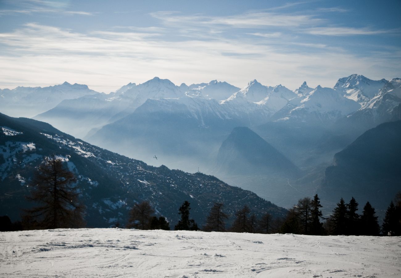 Apartment in Veysonnaz - Diablerets D 051 - MOUNTAIN apartment 6 pers