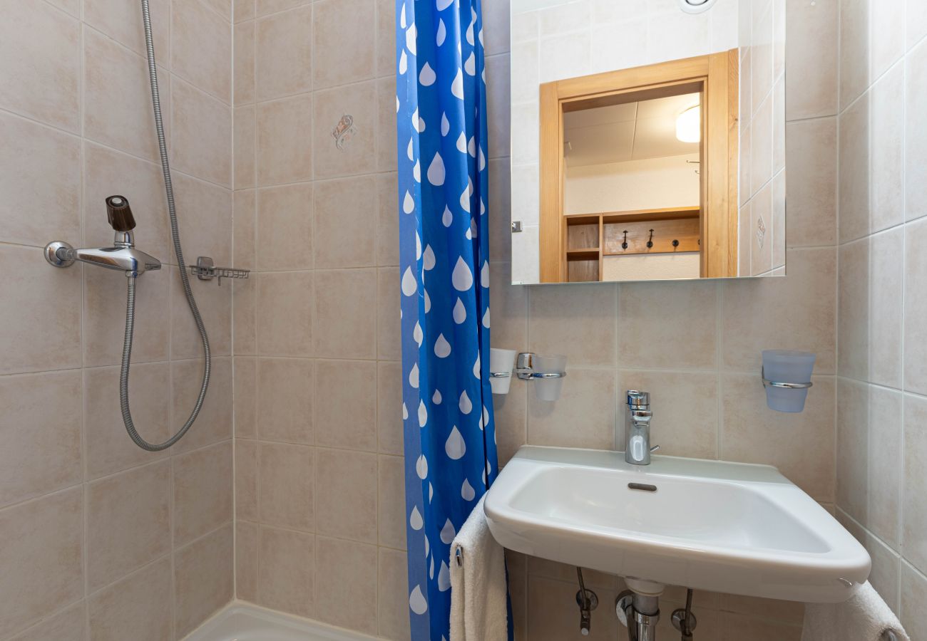 Apartment in Veysonnaz - Mélèzes R 020 - SKI LIFT apartment 8 pers