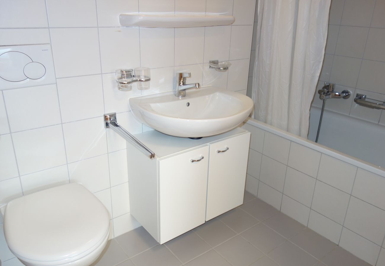 Apartment in Haute-Nendaz - Pracondu 1 102 - OUTDOOR & FUN  charming apartment