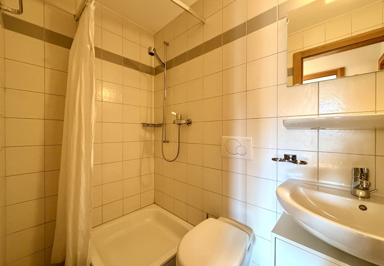 Apartment in Haute-Nendaz - Pracondu 1 405 - OUTDOOR & FUN  apartment 6 pers