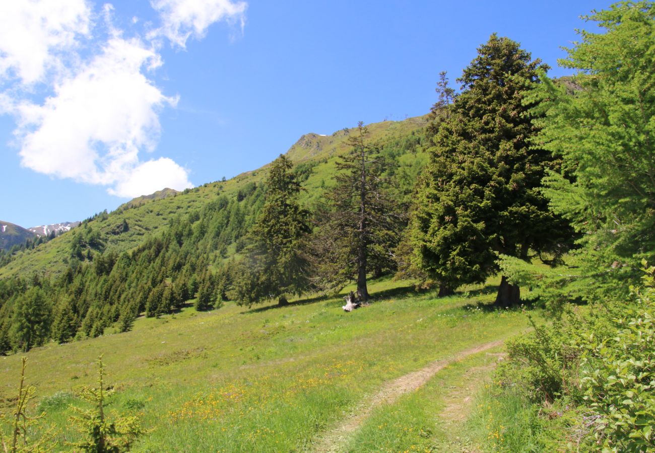 Chalet in Thyon-Les Collons - Paradis Perdu SKI IN & QUIET chalet 14 personnes