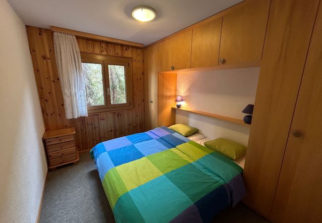 Apartment in Veysonnaz - Crêtes X2 232 - SUNNY apartment 6 pers Apartment in Veysonnaz - Crêtes X2 232 - SUNNY apartment 6 pers