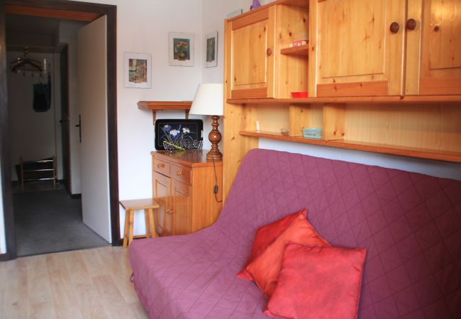 Studio in Châtel - VERONICA VR79 NATURE & MOUNTAIN 3 Pers. Studio in Châtel - VERONICA VR79 NATURE & MOUNTAIN 3 Pers.