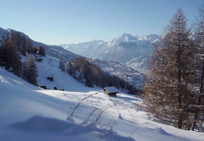 Chalet in Thyon-Les Collons - Esperanza SKI IN & SKI OUT chalet  8 pers Chalet in Thyon-Les Collons - Esperanza SKI IN & SKI OUT chalet  8 pers