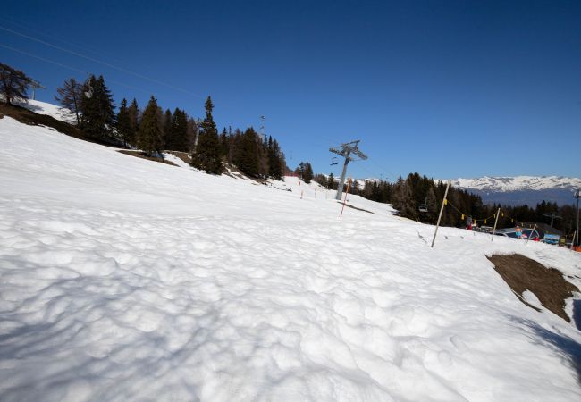 Chalet in Thyon-Les Collons - Esperanza SKI IN & SKI OUT chalet  8 pers Chalet in Thyon-Les Collons - Esperanza SKI IN & SKI OUT chalet  8 pers