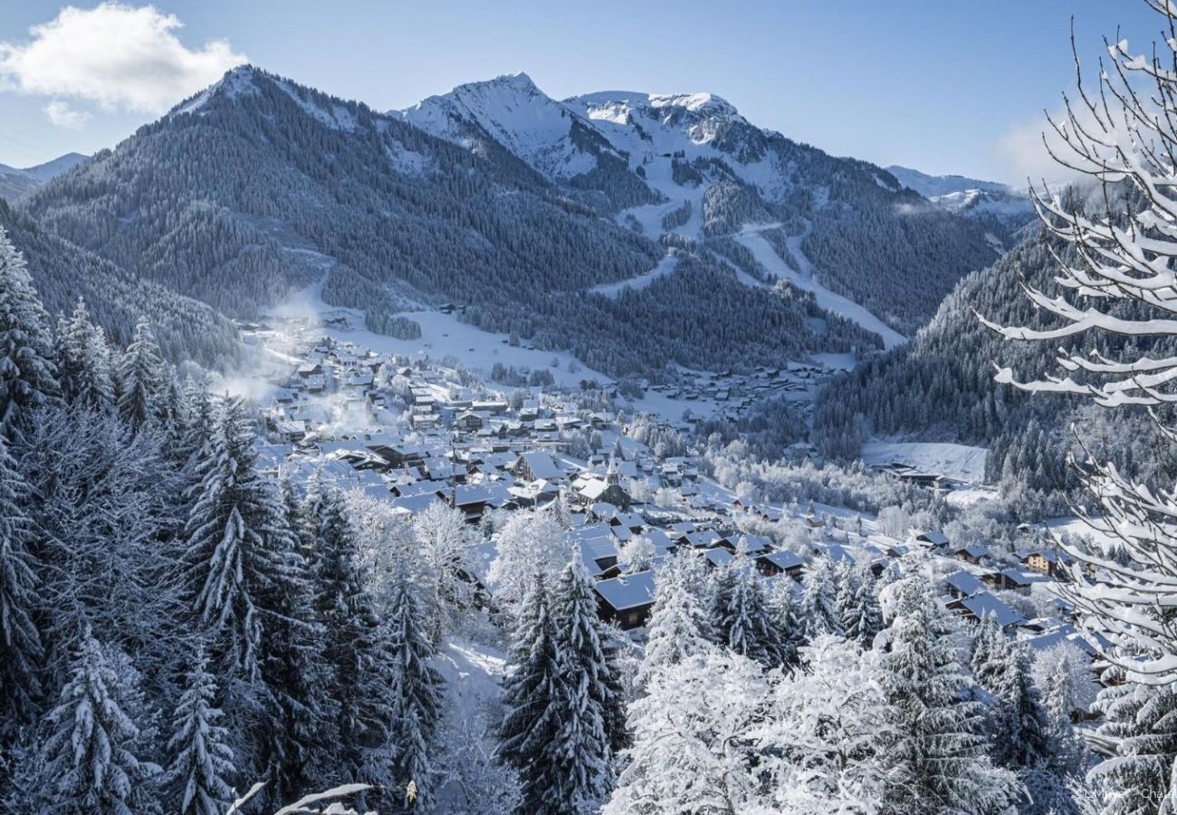 Studio in Châtel - ALPAGE AGA2 VIEW & MOUNTAIN 3 Pers.